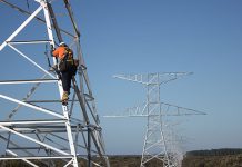 Construction underway on Western Australia’s grid expansion Linesman climbs transmission tower for Western Power (TCS)