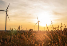Baldon Wind Farm secures grid connection approval Wind farm turbines at sunset with long grass in foreground (la trobe)