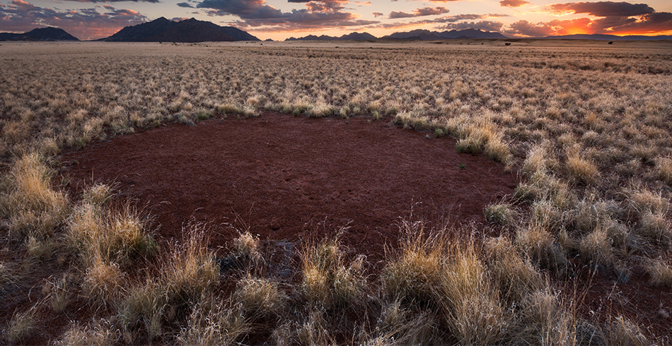 fairy-circles Fairy circle in the desert, which are a sign that naturally occurring hydrogen may be present