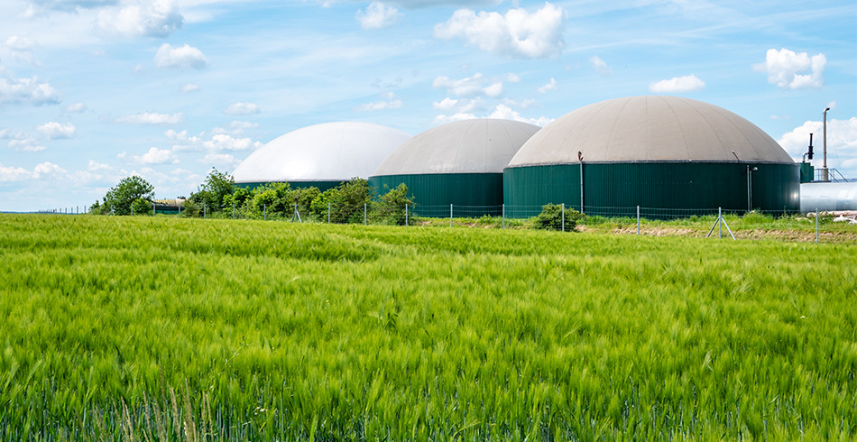energy360 Biogas domes set in grassy green field (energy360)