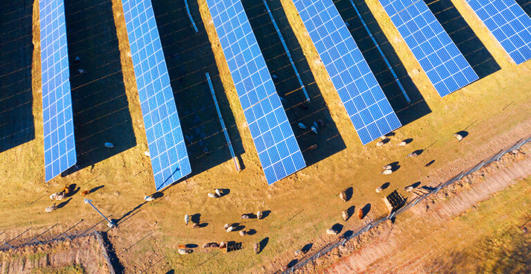 Major Project: Blind Creek Solar Farm - Energy Source & Distribution
