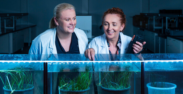 CQUniversity's Coastal Marine Ecosystems Research Centre (CMERC) laboratory with Director, Dr Emma Jackson pictured left