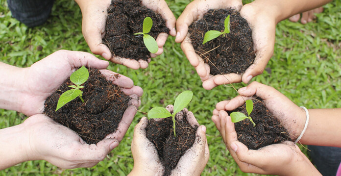 Hands holding soil with seedlings in a circle (actewAGL grants)