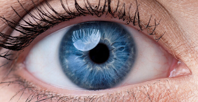 Eye Close-up shot of beautiful blue eye