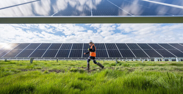 Worker in hard hat and hi-vis gear walks past solar panels on lush green grass with blue sky overhead (glenrowan)