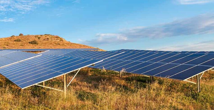 solar-aus solar panels sitting among grassy land in Australia