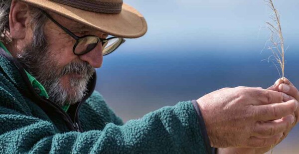Man wearing glasses and broad-rimmed hat examines flora in field