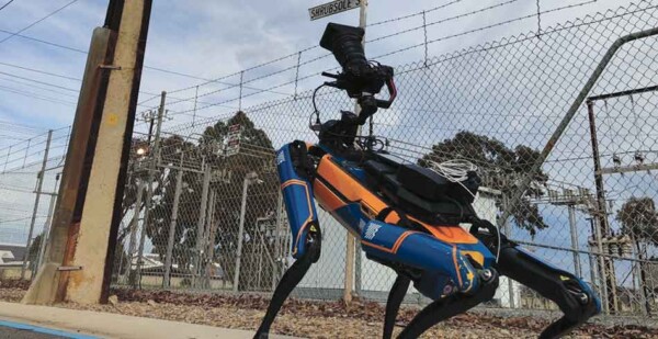 Robotic dog performing asset monitoring tasks on street with power pole 