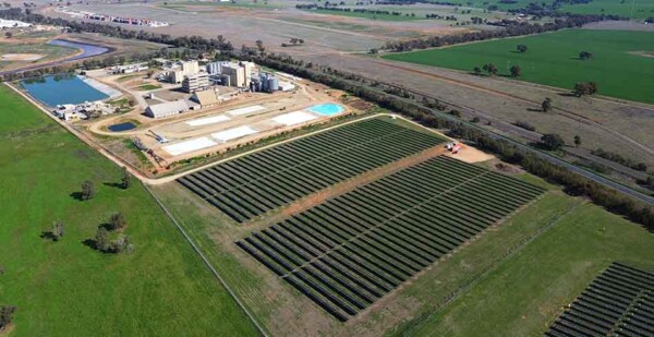 Aerial photo of solar farm at Riverina Oils factory site