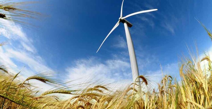 Wind turbine with blue sky and golden crops