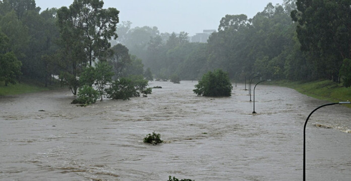 Trees in deep floodwaters from ex-TC Alfred