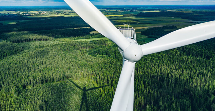 wind turbine built in pine forest