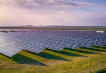 Potentia’s Tallawang Solar Hybrid project gets federal tick Solar farm set on green grassed land under hazy dawn sky