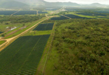 Aldoga Solar Farm reaches full commercial operations Aerial shot of solar farm set amongst green fields