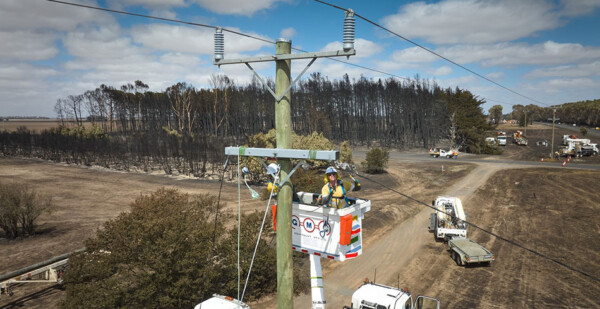 Electricity crew works on power poles in bushfire-stricken area with burnt trees and poles