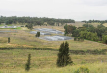 AGL’s Muswellbrook Battery gets environmental approval Rendered image of a large battery storage project in a regional grassy area