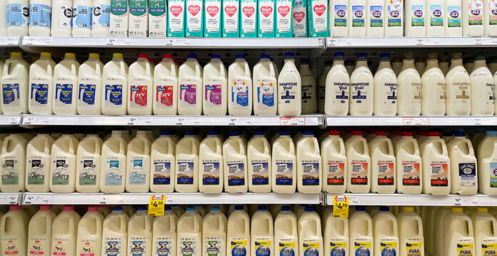 Photo of different milk bottle brands and types in an Australian supermarket refrigerator