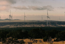 Massive SunZia wind farm now producing power in US Massive wind farm in grassy rural area at sunset