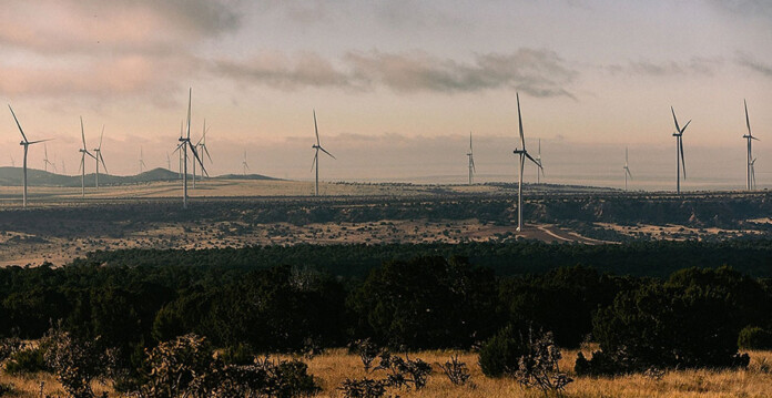 Massive wind farm in grassy rural area at sunset
