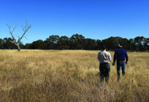 CNC Project Management celebrates 20 years Two CNC Project Management staff standing in a grassy rural field underneath a bright blue sky