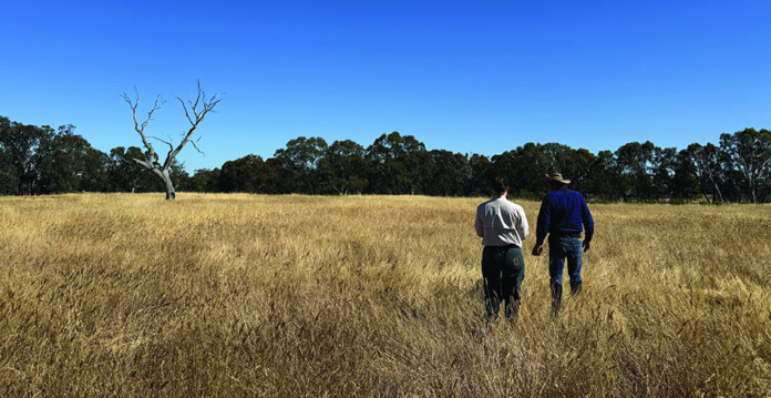 cnc1 Two CNC Project Management staff standing in a grassy rural field underneath a bright blue sky
