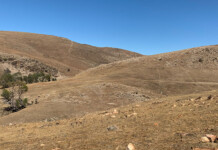 Construction begins at Palmer Wind Farm in SA Grassy hillside with bright blue sky overhead