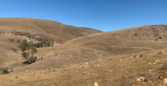 Grassy hillside with bright blue sky overhead