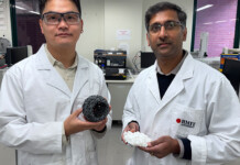 Low-cost innovation boosts green hydrogen production Dr Derek Hao and Associate Professor Ravichandar Babarao stand in an RMIT laboratory surrounded by scientific instruments. Dr Hao holds a grey, porous spherical model of the low-cost material developed in the study, while Associate Professor Babarao holds a white sample of the precursor material.