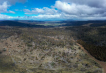 Vestas acquires Tasmanian wind farm from Ark Energy Expanse of grassy plains with blue sky and clouds overhead