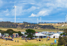 Wind farm’s Aboriginal stewardship shows true social licence Aboriginal festival with tents and people and wind turbines in the background