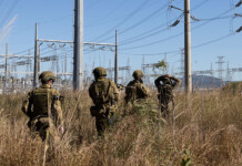 Austral Shield 26 puts critical infrastructure to the test Army personnel move through long grass near an electricity substation