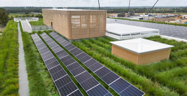 Solar panels and native plants on building rooftop