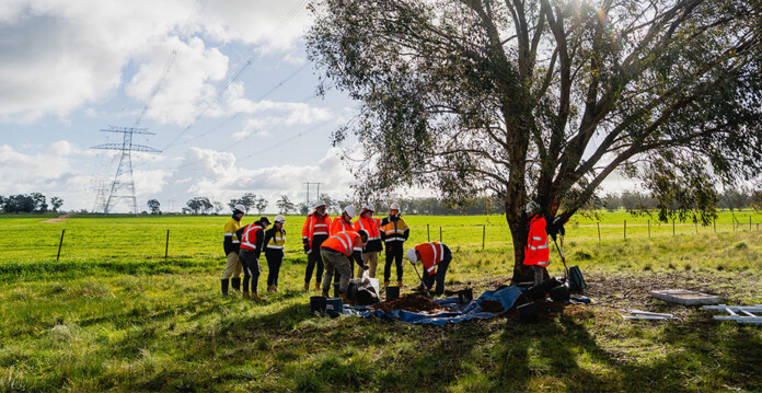 A group of people in hard hats and high-vis workgear return Indigenous artefacts to a site with a tree and transmission tower in the background