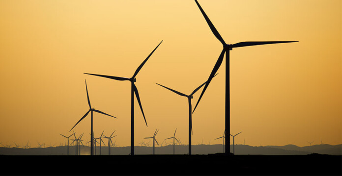 Large wind farm with orange coloured sky in the background